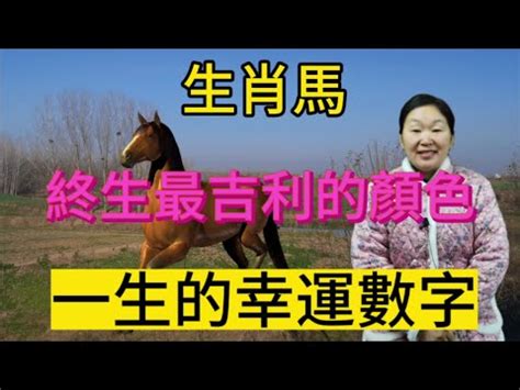 屬馬幸運數字|【屬馬幸運數字】速速收藏！屬馬的專屬好運指南：幸運數字、顏。